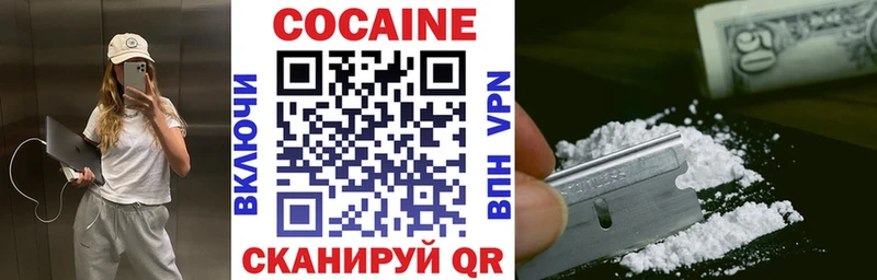 Купить закладки  Кимовск  COCAIN 99% 