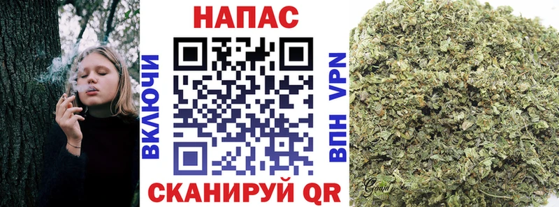 Бошки марихуана Amnesia  Купить закладки  Кимовск 